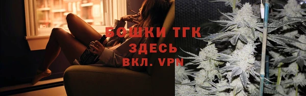 эйфоретик Дмитров