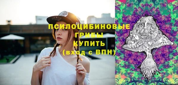 эйфоретик Дмитров