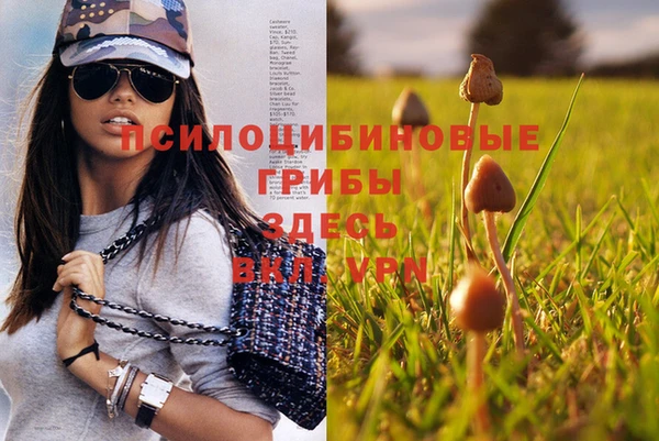 гашишное масло Дмитровск