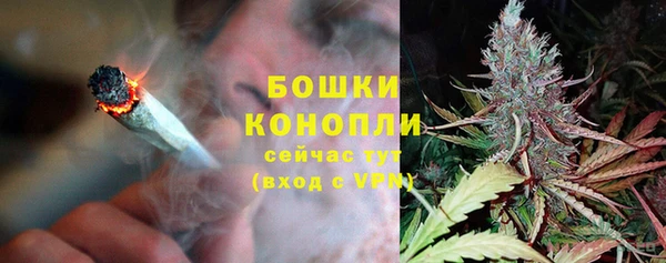 эйфоретик Дмитров
