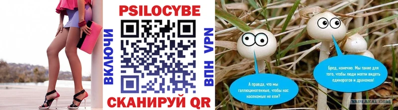 Купить закладки  Дюртюли  Псилоцибиновые грибы GOLDEN TEACHER 